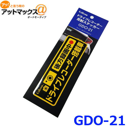 GDO-21 륹 ɥ饤֥쥳ȿͥƥåʸϿVer.{GDO-21[1150]}