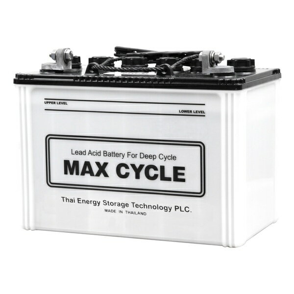 MAX CYCLE マックスサイクル EBサイクルバッテリー EB-65 (LL 端子) 産業用車両 ゴルフカート 溶接機 電動車イス等