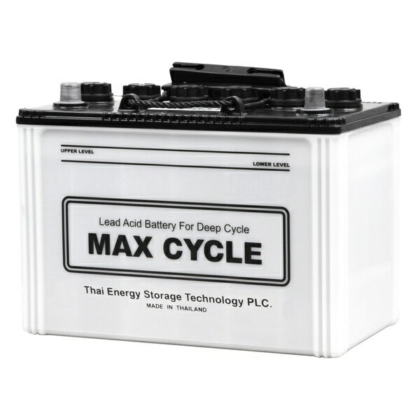 MAX CYCLE マックスサイクル EBサイクルバッテリー EB-65 (T 端子) 産業用車両 ゴルフカート 溶接機 電..