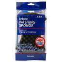 SurLuster シュアラスター S-70 WASHING SPO