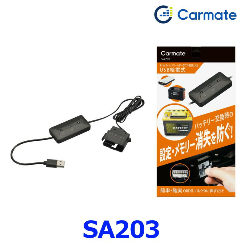 カーメイト SA203 メモリーキーパー R80 USB 給