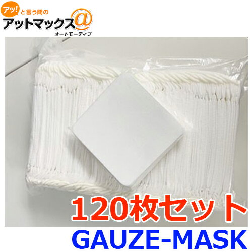 ※キャンセル不可・商品説明を確認して下さい※ 送料無料 光触媒シート入 マスク 使い捨てない ガーゼタイプ 標準サイズ 120枚セット 個別梱包なし