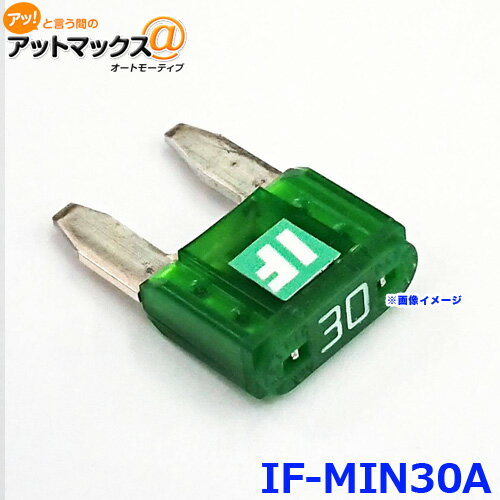 ICE FUSE アイスフューズ IF-MIN30A アイスヒューズ 30アンペア MINI ミニ平型タイプ