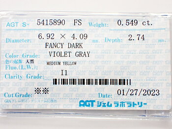 0．549ct　FANCY　DARK　VIOLET　GRAY　I1　グレイダイヤモンド　ルース