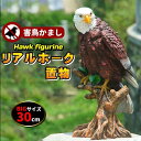 ホーク ムクドリ 効果絶大 大迫力 30cm スズメ ハト 野鳥 カラス オブジェ 害鳥 リアルイーグル 置物 ワシ タカ 鷲 鷹