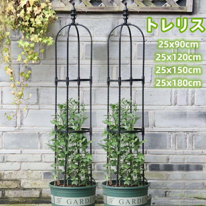 ǥ˥   Х ֻ٤  ǥ ľ25 Х ȥꥹ  ٥ꥹ [180cm] [150cm] [120cm]