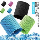 通気性 柔らかい 熱中症対策 吸汗速乾 軽量 冷却バンド アイスバンド 薄手 夏用 ひんやり 冷感 クール メッシュ 汗止め 2個入り