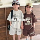 ス 可愛い おしゃれ ショートパンツ 半袖 綿 tシャツ 男の子 女の子 ベビー服 ジュニア 上下セット ジャージ 子供服 兄妹 キッズ