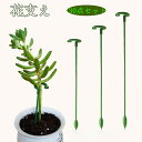 観葉植物 園芸支柱 園芸用 農業用 ガーデニング 37cm 27cm 17cm フラワー支柱 支柱棚 支柱 誘引 観葉支柱 植物サポート 花ささえ