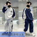 ジュニア セットアップ キッズ 子供ジャージ上下セット スポーツウェア子供服 子ども用ジャージ 男の子 ガールズ 上下セット