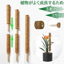 ココナッ 木製 延長 連結 花ささえ 蔓 ガーデン 植物支柱 ポトス 園芸支柱 おしゃれ ココナッツ 支柱 モンステラ ココスティック