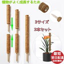連結 花ささえ 植物支柱 ポトス 園芸支柱 ココナッツ 耐久 頑丈 高さ調整可能 支柱 ポトス 支柱 植物 おしゃれ 支柱 モンステラ