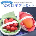 【予約商品】父の日 ギフトセット(紅秀峰または佐藤錦 高級さ...