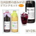 【送料込｜あす楽】ジュース ドリンク 2本セット(J2-10)(ブルーベリー・ラ・フランス)1L×2本 ast 加工品 プレゼント 誕生日 快気祝い コンペ 景品 フルーツ 果物 内祝い お供え お返し お供え物 ギフト 子どもの日 端午の節句 母の日 父の日