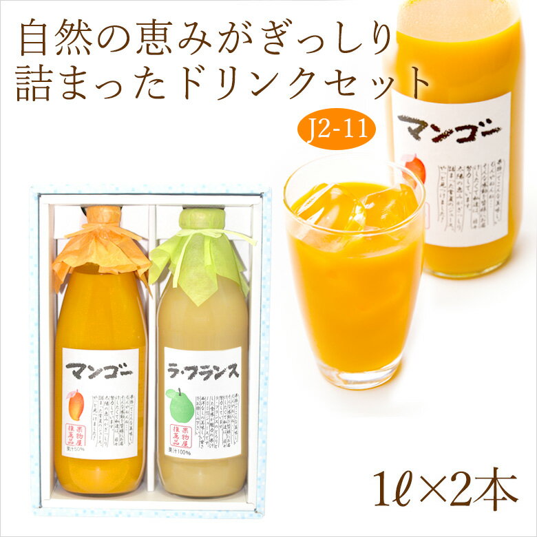 【最強翌日配送】果汁100% ジュース ドリンク 2本セット(J2-11)(マンゴー・ラ・フランス)1L×2本 フルーツ ギフト お歳暮 お年賀 詰め合わせ プ...