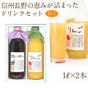 【送料込|あす楽】果汁100％ ジュース ドリンク 2本セット(J2-1)(りんご ブルーベリー)1L×2本 プレゼント 手土産 お返し 誕生日 快気祝い 粗品 コンペ 景品 フルーツ 果物 内祝い お供え 贈り物 お供え物 ギフト お返し 寒中見舞い お年賀 バレンタイン 節分