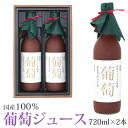 果汁100％ 葡萄ジュース2本セット 720ml×2本 ast 加工品 引越し祝い 誕生日 香典返し フルーツ 果物 野菜 内祝い お供え プレゼント 贈り物 お供え物 ギフト お返し 子どもの日 端午の節句 母の日 父の日