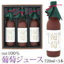 【送料込｜あす楽】果汁100％ 国産葡萄ジュース3本セット 3本 720ml×3本 ast 加工品 手土産 引越し祝い 誕生日 香典返し フルーツ 果物 野菜 内祝い お供え プレゼント 贈り物 お供え物 ギフト お返し お正月 お年賀 バレンタイン ホワイトデー