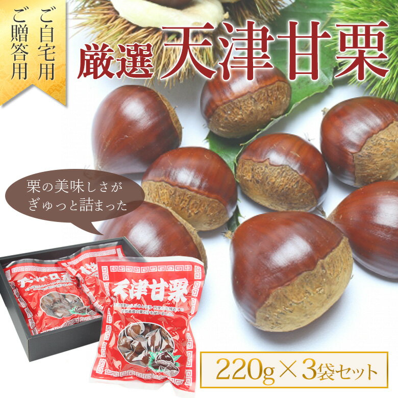 厳選天津甘栗（300g×3袋）ギフト用【化粧箱入り】【のし・メッセージカード・ギフト 包装】お祝 プレゼント 手土産 お返 内祝 誕生日 帰省土産 お礼 お見舞い プチギフト 粗品 コンペ景品 御供 栗 美味しい 甘栗 お歳暮