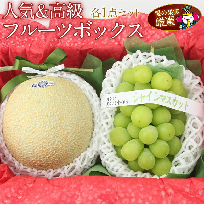 【送料込】人気&高級 フルーツ ボックス(シャインマスカット 静岡産 マスクメロン)お祝 プレゼント 手土産 誕生日 お礼 くだもの ぶどう 葡萄 お見舞い 果物 内祝い お供え お悔やみ 贈り物 ギフト お供え物 お返し バレンタイン 桃の節句 ひなまつり ひな祭り