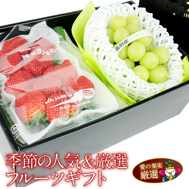 【送料込|あす楽】季節の人気&厳選フルーツギフト あまおう いちご シャインマスカット プレゼント 手土産 お返し 誕生日 ボックス フルーツ 果物 内祝い お供え お悔やみ お悔み 贈り物 お返し バレンタイン ホワイトデー 桃の節句 ひなまつり ひな祭り