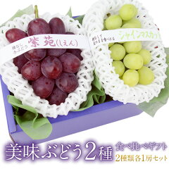 https://thumbnail.image.rakuten.co.jp/@0_mall/aino-kajitu/cabinet/item/kudamono01/grape/gp2set_se-shine_1-kg.jpg