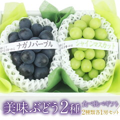 https://thumbnail.image.rakuten.co.jp/@0_mall/aino-kajitu/cabinet/item/kudamono01/grape/gp2set_smnp-kg.jpg