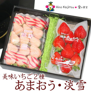 【送料込】人気&厳選いちごギフトA福岡産 あまおう苺 奈良産 白いちご (淡雪あわゆき) 食べ比べ 紅白 手土産 誕生日 お礼 出産 イチゴ 結婚祝 くだもの フルーツ 果物 内祝い お供え プレゼント 贈り物 お返し バレンタイン ホワイトデー 桃の節句 ひなまつり ひな祭り
