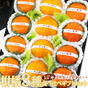 国産 美味 柑橘 3種 食べ比べギフトセット(12個入) フルーツ ギフト 詰め合わせ プレゼント 手土産 お誕生日 お祝い 内祝い 出産内祝い 婚礼内祝い 贈...