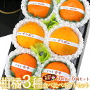 国産 美味 柑橘 3種 食べ比べギフトセット(6個入) フルーツ ギフト 詰め合わせ プレゼント 手土産 お誕生日 お祝い 内祝い 出産内祝い 婚礼内祝い 贈り...