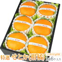 せとか(長崎産 佐賀産)6個入 プレゼント 手土産 誕生日 ...