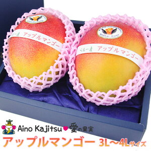 【送料込】アップルマンゴー(3L〜4Lサイズ 2個セット) 手土産 誕生日 お礼 出産 フルーツ 果...