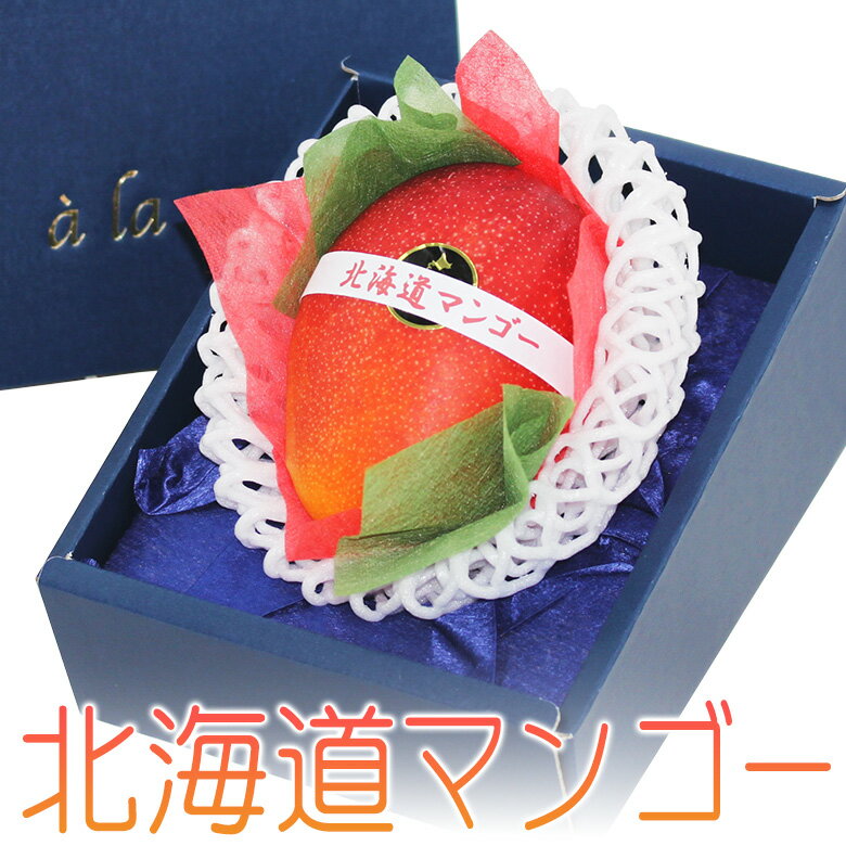 【 北海道マンゴー】L～2Lサイズ（北海道産）フルーツ ギフト プレゼント 手土産 誕生日 お祝い 内祝い 出産内祝い 贈り物 お礼 御見舞 退院祝い 快気祝い 景品 フルーツ 果物 お供え 法事 法要