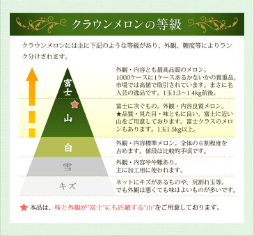 【送料込】高級静岡クラウンメロン(2個入)等級【山】 肉厚で香りと味が最高!! 誕生日 お祝い コンペ お礼 プレゼント お返し フルーツ 果物 内祝い 贈り物 ギフト 景品 お返し お中元 暑中見舞い 入学祝 残暑見舞い お盆