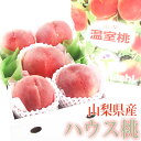 桃 【送料込】ハウス桃(山梨産)（5～6玉入） 温室 もも モモ 白桃 白鳳 Peach おいしい桃 くだもの 最旬桃 フルーツ 果物 プレゼント 手土産 お返し 誕生日 フルーツ 景品 出産 フルーツ 果物 内祝い 贈り物 お返し 子どもの日 端午の節句 母の日 父の日