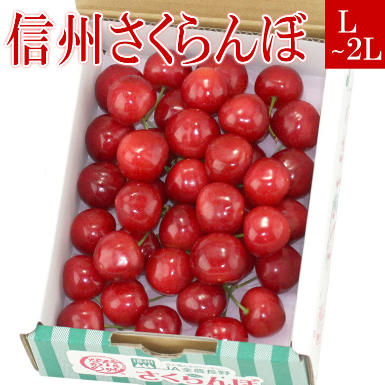 【送料込】信州さくらんぼ（佐藤錦 または 紅秀峰 または 香夏錦）L～2L 約300g 長野産 フルーツ ギフト プレゼント 手土産 誕生日 お祝い 内祝い 出産内祝い 贈り物 お礼 御見舞 退院祝い 快気祝い 景品 フルーツ 果物 お供え物 お返し 父の日 お中元 夏ギフト