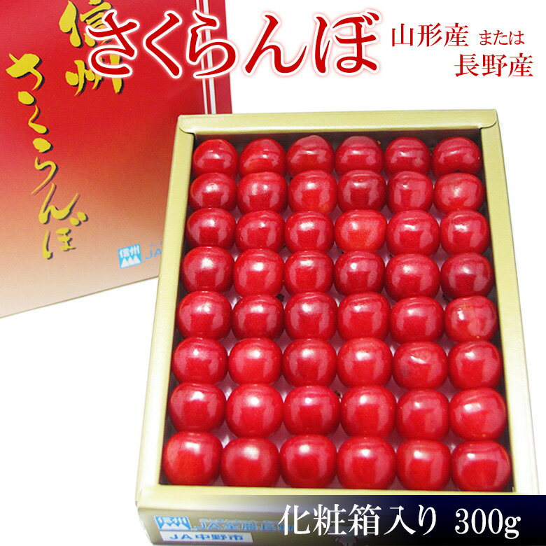 【送料込】国産 さくらんぼ 佐藤錦 または 紅秀峰 300g 長野産 または 山形産 プレゼント 手土産 お返し 誕生日 お見舞い 大粒 長野さくらんぼ サクランボ お礼 ギフト 季節の くだもの フルー…