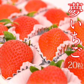 【送料込】【大粒】夢いちご（品種：ゆめのか）20粒美容 甘い イチゴ 苺 プレゼント お礼 誕生日 ご挨拶 粗品 フルーツ 果物 内祝い ギフト 贈り物 景品 コンペ お返し