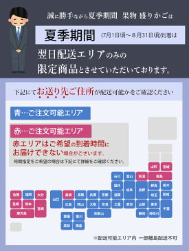 【送料無料】果物 盛りカゴ 【あす楽】盛りかご お忌み 法事 御前 籠盛 盛り合わせ くだもの 盛籠 葬儀 お彼霊前 法要 御仏岸 仏事 一周忌 三回忌 七回忌 新盆 お供え お悔やみ お悔み 贈り物 お彼岸 お供え物