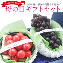 【予約商品】母の日 ギフト セットB(山形産・長野産) 佐藤...