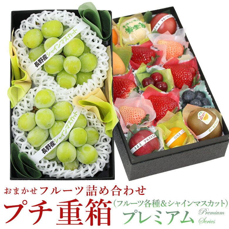 プチ重箱プレミアム FPJ-15(プチフルーツ15個 シャインマスカット2房) フルーツ ギフト 果物 お歳暮 お年賀 詰め合わせ プレゼント 手土産 お誕生日...