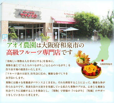 【静岡県産】クラウンメロン（1.3kg前後・1個入）マスクメロン 【宅配・店頭受取 選択可】 ご進物 ギフト 誕生日 お祝い コンペ お礼 プレゼント くだもの 出産祝 お返 フルーツ 果物 内祝い 贈り物 バレンタイン 節分 桃の節句 限定 メッセージカード バレンタインデー