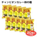 ＼期間限定★1000円ポッキリ／ カシューナッツ 柿の種 送料無料 大容量 500g 訳あり 山盛り柿の種とカシューナッツ 柿ピーではなく柿カシュー!? 柿の種プラスで止まらない美味しさ お菓子 おつまみ 訳あり ナッツ お買い物マラソン SALE セール