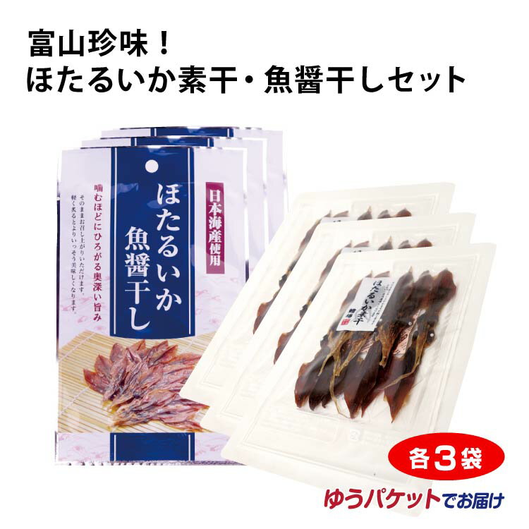 珍味！ほたるいか素干・魚醤干しセット×各3袋【ゆうパケット】