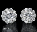 メインダイヤモンド 0.553ct (F I-1 GOOD)/0.456ct(E I-1 FAIR) 計:1.009ct ピアス PT900 プラチナ ラウンドカット ブリリアントカット 取り巻き ヘイローデザイン 4月誕生石 金剛石＜中央宝石ソーティング＞RYM.A