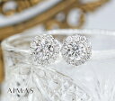 メインダイヤモンド 0.713ct (F EXCELLENT I1) / 0.697ct (G GOOD I1) ピアス PT900 プラチナ ラウンドブリリア...