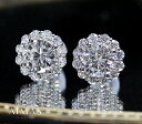 メインダイヤモンド 1.005ct (H SI2) / 1.013ct (H SI2) ピアス PT900 プラチナ ラウンドブリリアント ダイヤ取り巻き ヘイ...