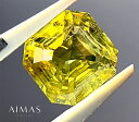 N\x 8.123ct [X GhJbg XebvJbg XNGA N\x[X  y[XzyzRGM.E/BS yiւ̃I[_[H܂Bz