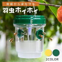 羽虫 トラップ 集虫 ソーラー LED イエロー or グリーン 屋外用 ハンギングトラップ 虫捕り 虫取り器 ソーラーライト キャッチャー 虫キャッチャー 蚊 蝿 ハエ コバエ 小バエ ハチ カメムシ 害虫 虫 便利 捕獲 駆除 植木鉢 畑