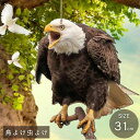 鳥よけ リアル鷲プリント 吊り下げ プレート 大きいサイズ 虫除け 猛禽類 鷲 鷹 ホーク イーグル かかし 案山子 ベランダ吊り下げ 玄関 ハト避け 予防 畑...